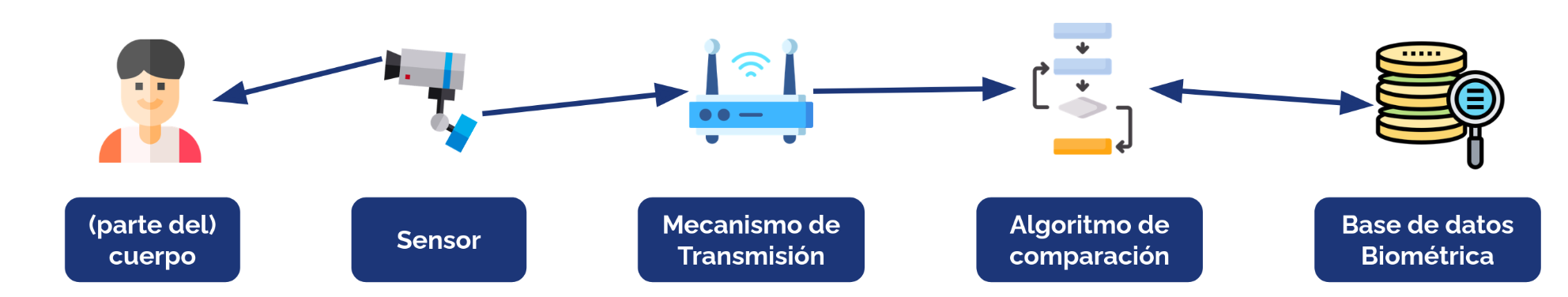 Pasos de reconocimiento biométrico