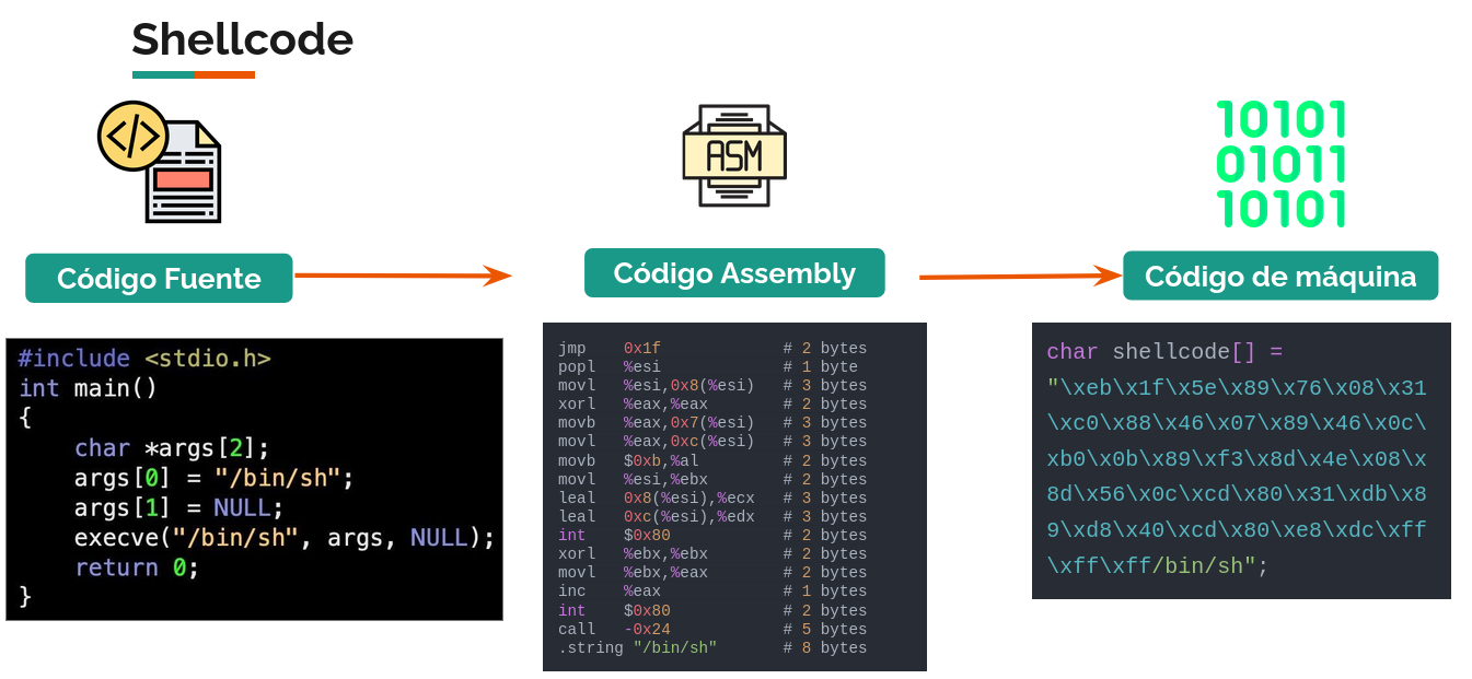 Código fuente a shell code